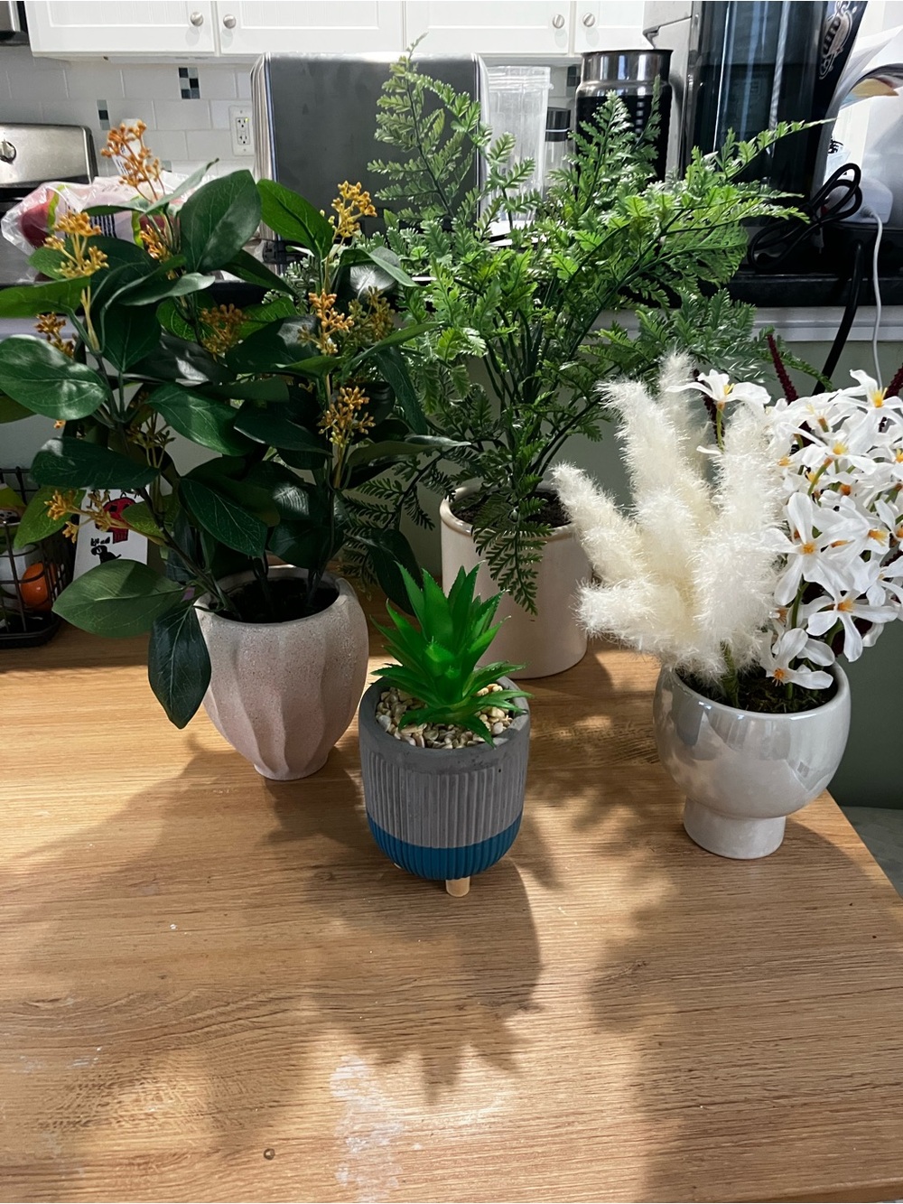 Artificial Succulent and Potted Plant Set of 4